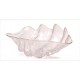 Clear Shell Plastic Bowl